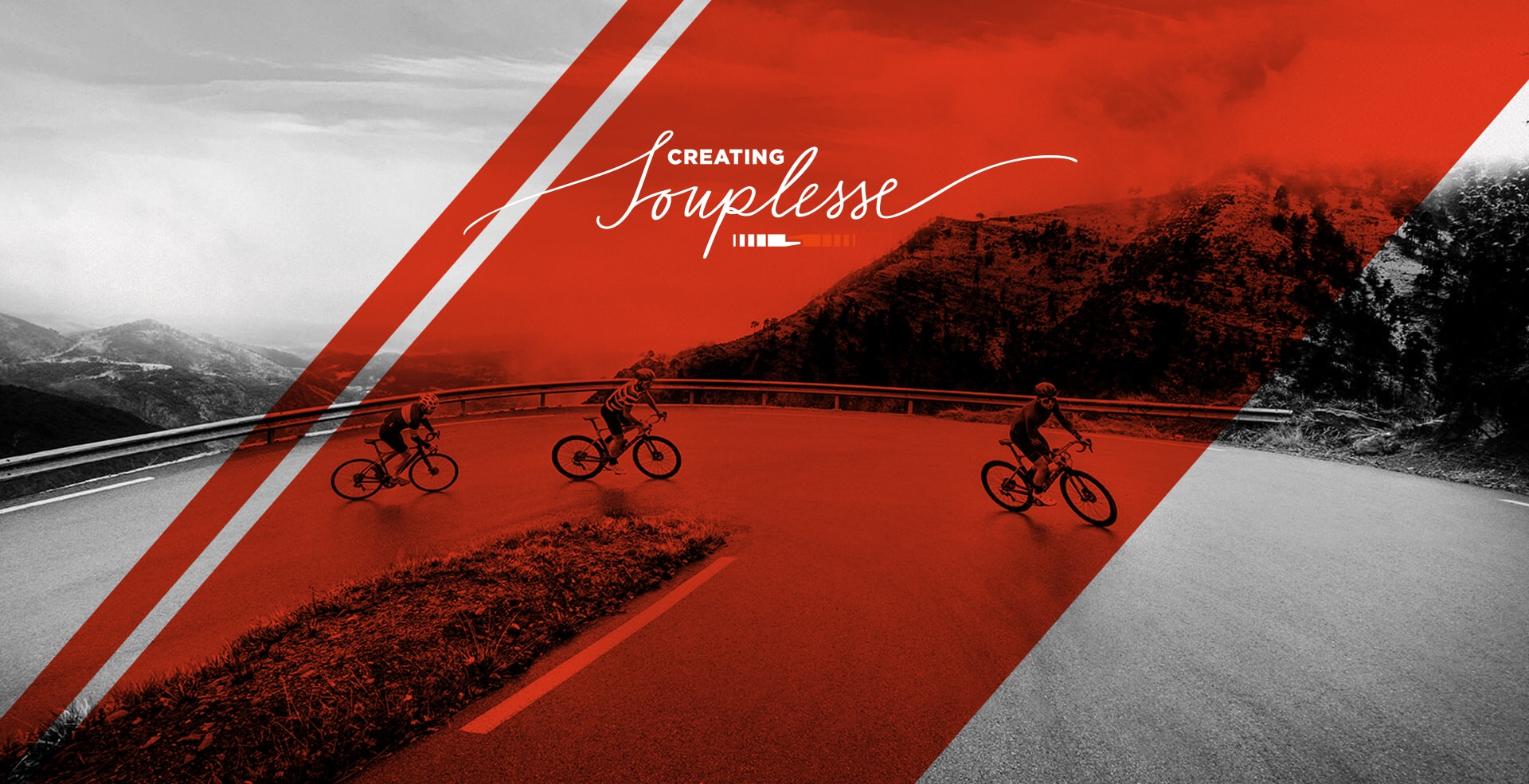 THE NEW SCHWALBE PRO ONE